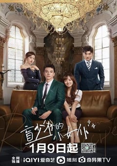 2023年国产大陆电视剧《盲少爷的小女仆》全15集 [迅雷BT磁力免费下载]