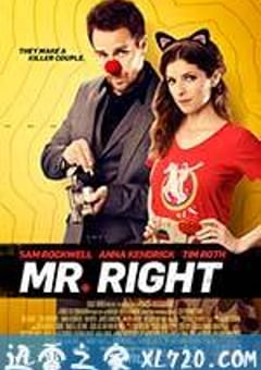 真命天子 Mr. Right (2015) [迅雷BT磁力免费下载]