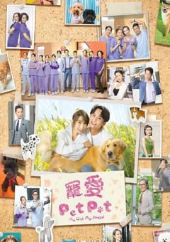 2023年中国香港电视剧《宠爱Pet Pet》全20集 [迅雷BT磁力免费下载]