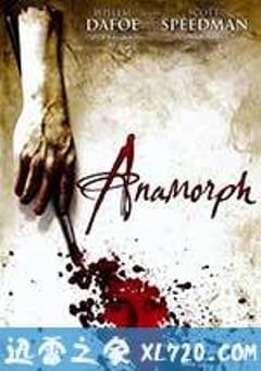 失真的画 Anamorph (2007) [迅雷BT磁力免费下载]