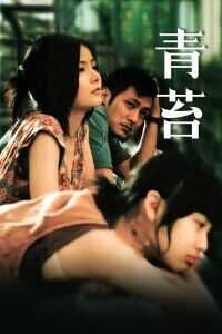 2008香港电影《青苔》1080p高清 4K网盘迅雷下载