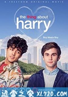 关于哈利的那些事 The Thing About Harry (2020) [迅雷BT磁力免费下载]