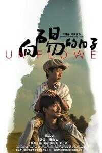 2018中国大陆电影《向阳的日子》1080p高清 4K网盘迅雷下载