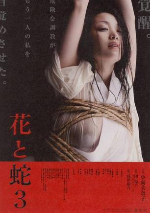 2010日本电影《花与蛇3》1080p高清 4K网盘迅雷下载