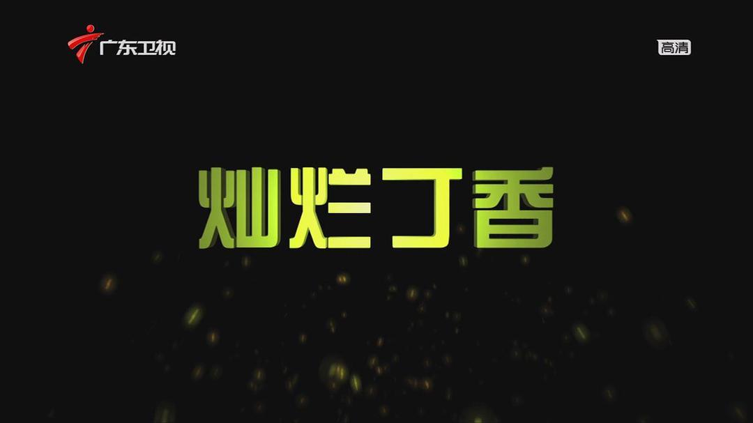 2011中国大陆电影《灿烂丁香》1080p高清 4K网盘迅雷下载