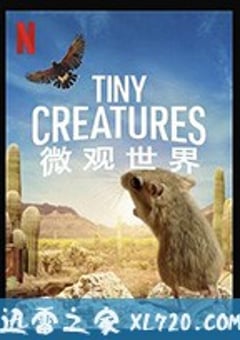 微观世界 Tiny Creatures (2020) [迅雷BT磁力免费下载]