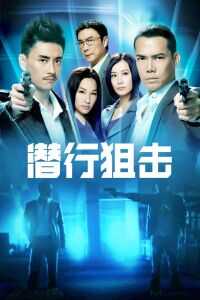 潜行狙击粤语版电视剧1080p高清 4K网盘迅雷下载