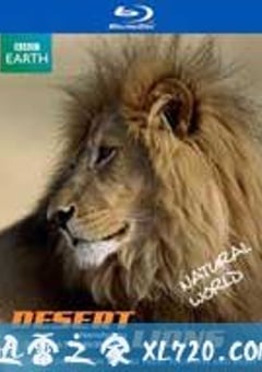 自然世界：沙漠狮 Natural World: Desert Lions (2005) [迅雷BT磁力免费下载]