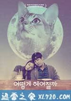 如何与我的猫分手 어떻게 헤어질까 (2016) [迅雷BT磁力免费下载]