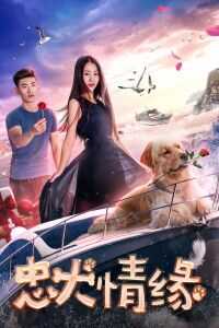 2017中国大陆电影《忠犬情缘》1080p高清 4K网盘迅雷下载