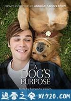 一条狗的使命 A Dog’s Purpose (2017) [迅雷BT磁力免费下载]