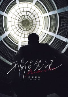 2023年国产大陆电视剧《刑侦笔记》全12集 [迅雷BT磁力免费下载]