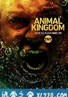野兽家族 第三季 Animal Kingdom Season 3 (2018) [迅雷BT磁力免费下载]