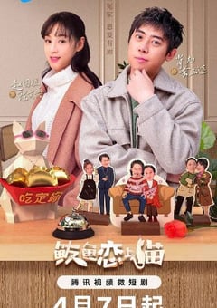 2024年国产大陆短剧《鲅鱼爱上猫》全24集 [迅雷BT磁力免费下载]