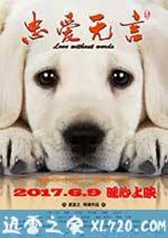 忠爱无言 (2017) [迅雷BT磁力免费下载]