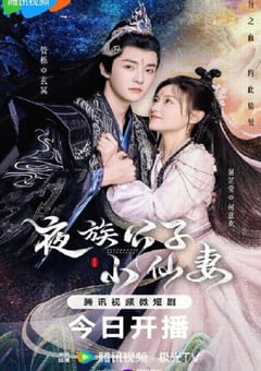 2023年国产大陆电视剧《夜族公子小仙妻》全25集 [迅雷BT磁力免费下载]
