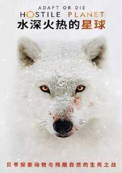 2019年美国纪录片《水深火热的星球》全6集 [迅雷BT磁力免费下载]