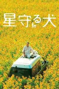2011日本电影《星守之犬》1080p高清 4K网盘迅雷下载