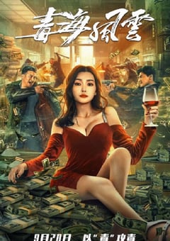 2021年国产动作犯罪片《毒海风云》HD国语中字 [迅雷BT磁力免费下载]