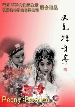 2020年国产剧情片《又见牡丹亭》HD国语中字 [迅雷BT磁力免费下载]