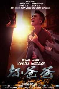 2018中国大陆电影《坏爸爸》1080p高清 4K网盘迅雷下载