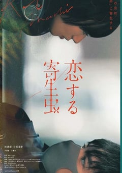 2021年日本爱情片《恋爱寄生虫》BD日语中字 [迅雷BT磁力免费下载]