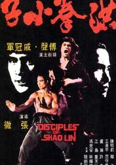 1975年中国香港经典动作片《洪拳小子》蓝光国语中字 [迅雷BT磁力免费下载]