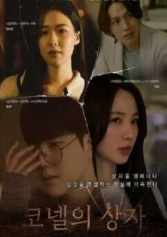 2024年韩国悬疑片《康奈尔之盒》HD韩语中字 [迅雷BT磁力免费下载]