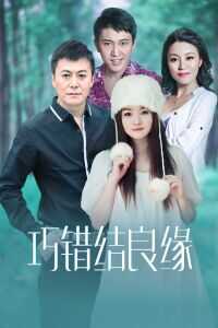 2006中国大陆电影《巧错结良缘》1080p高清 4K网盘迅雷下载