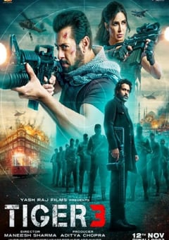 2023年印度动作片《猛虎3》BD印度语中字 [迅雷BT磁力免费下载]