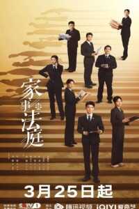 2026年国产电视剧《家事法庭》 连载至第06集 4K网盘迅雷下载