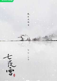 2024年国产大陆电视剧《七夜雪》全32集 [迅雷BT磁力免费下载]