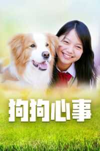 2005日本电影《狗狗心事》1080p高清 4K网盘迅雷下载