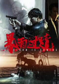 2023年国产剧情片《暴雨过境》HD国语中英双字 [迅雷BT磁力免费下载]