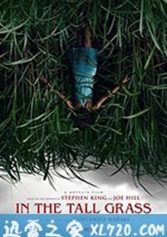 高草丛中 In the Tall Grass (2019) [迅雷BT磁力免费下载]