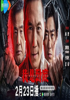 2026年国产动作片《我是卧底》HD国语中字 [迅雷BT磁力免费下载]