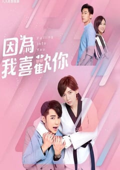 2020年中国台湾电视剧《因为我喜欢你》全26 [迅雷BT磁力免费下载]