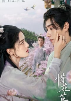 2024年国产大陆电视剧《惜花芷》全40集 [迅雷BT磁力免费下载]