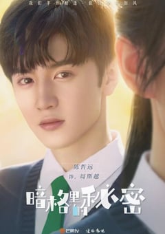 2021年国产大陆电视剧《暗格里的秘密》全24集 [迅雷BT磁力免费下载]