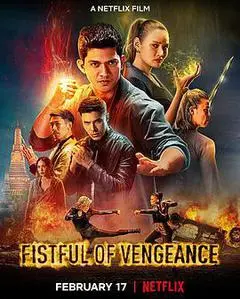 2022美国电影《复仇铁拳》1080p高清 4K网盘迅雷下载