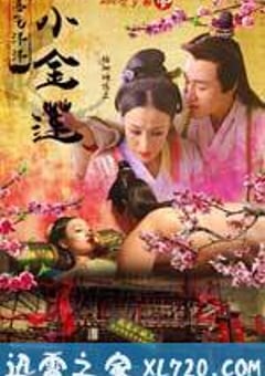 喜气洋洋小金莲 (2015) [迅雷BT磁力免费下载]