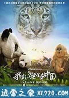 我们诞生在中国 Born in China (2016) [迅雷BT磁力免费下载]