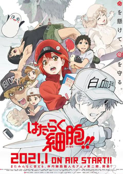 2021年恶霸动漫《工作细胞 第二季》全8集 [迅雷BT磁力免费下载]