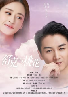 2020年国产大陆电视剧《舒克与桃花》全40集 [迅雷BT磁力免费下载]