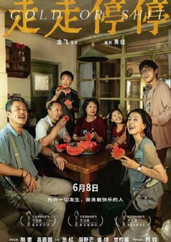 2024年国产剧情片《走走停停》HD国语中字 [迅雷BT磁力免费下载]