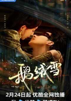 2025年国产大陆电视剧《鹅绒雪》全20集 [迅雷BT磁力免费下载]
