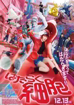 2024年日本奇幻片《工作细胞 真人版》HD机翻日语中字 [迅雷BT磁力免费下载]