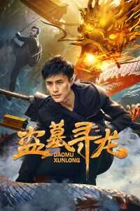 2018中国大陆电影《盗墓寻龙》1080p高清 4K网盘迅雷下载