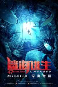 2019英国电影《鲨海逃生》1080p高清 4K网盘迅雷下载