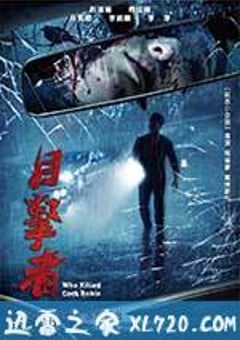 目击者之追凶 目擊者 (2017) [迅雷BT磁力免费下载]